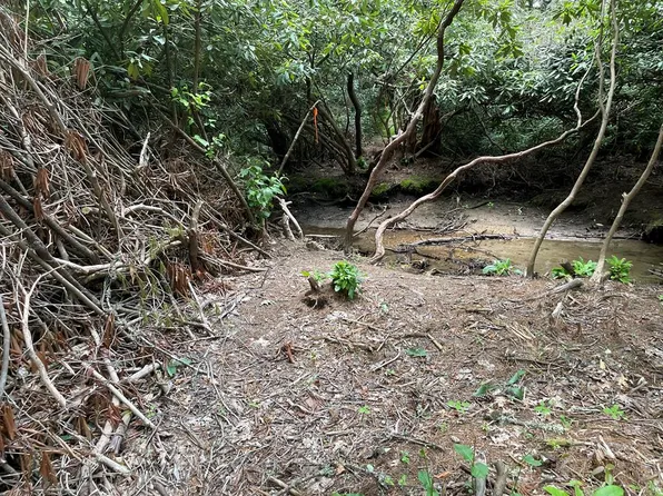 Yellow Mountain Rd, Cullowhee, NC 28723