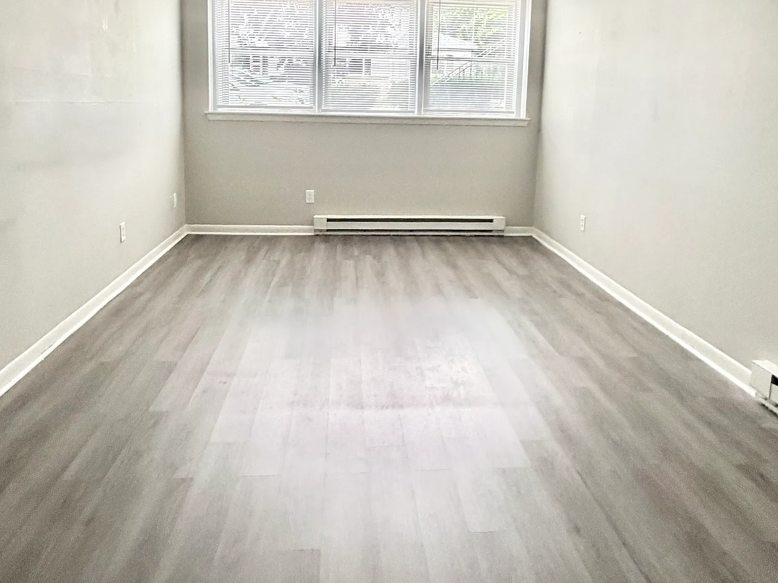 237 Forest Rd — Photo 4