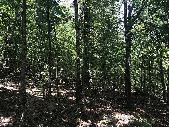 5th image of LOT 48 Byhalia Trl