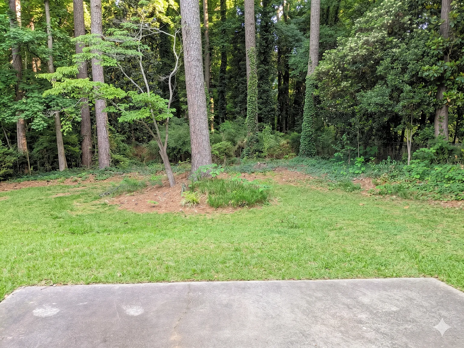 4 bed, 2.5 bath, 2125 sqft, $2,495 — Photo 3