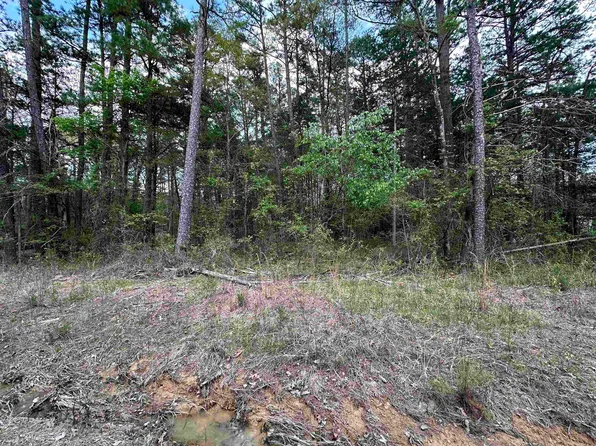 89 Betty Owens Rd, Higden, AR 72067