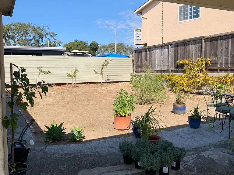 Private backyard