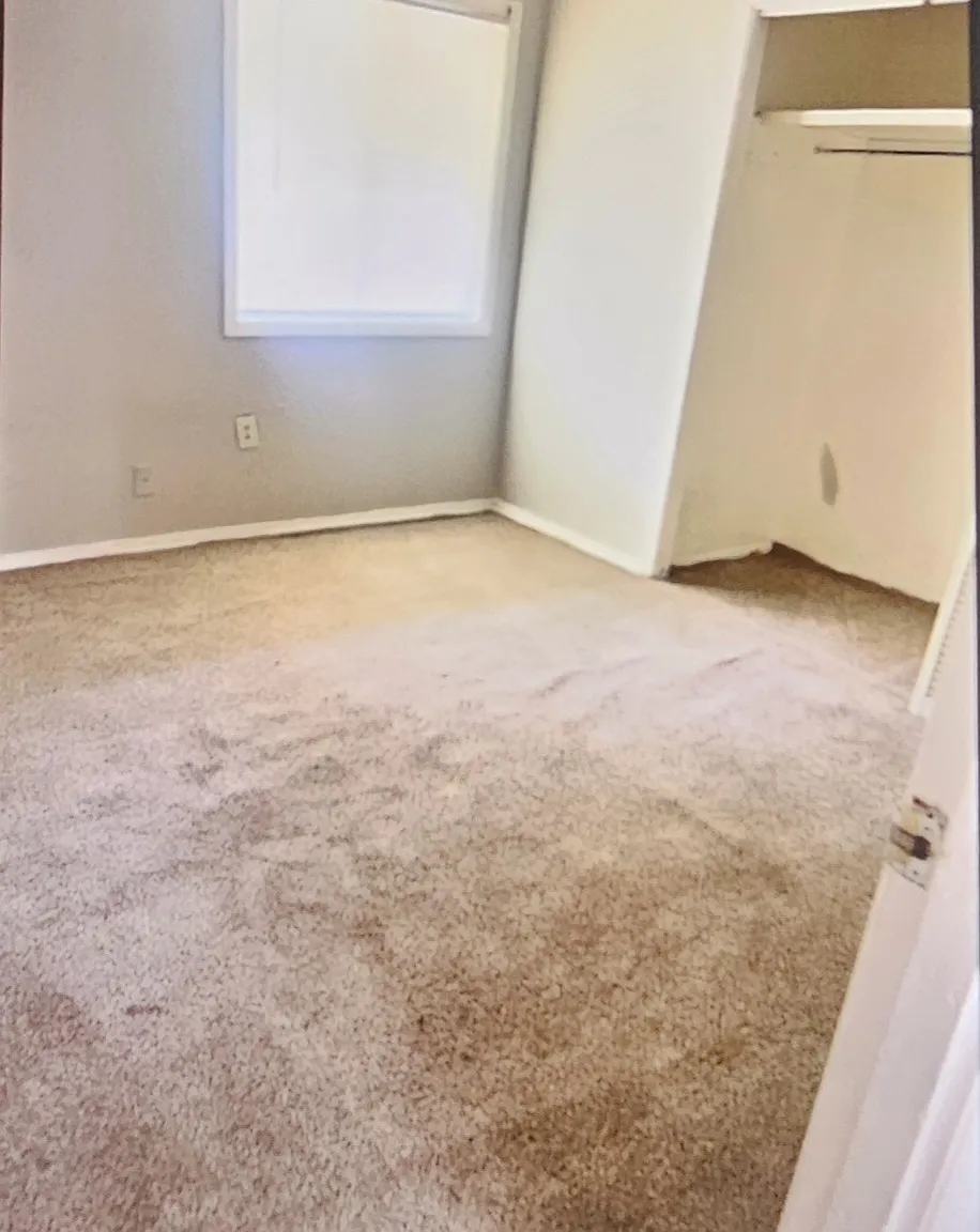 1108 Wooddell — Photo 4