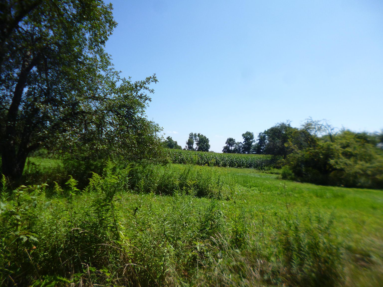 884 Stevenson Hill Rd, Reynoldsville, PA 15851 Zillow