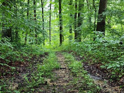 State Road 54, Springville, IN, 47462