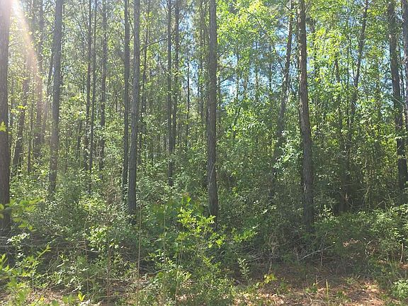 2nd image of 0 Smallwood Ln #1