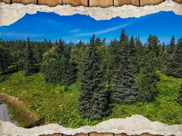 15422 Tovarish Rd, Ninilchik, AK 99639