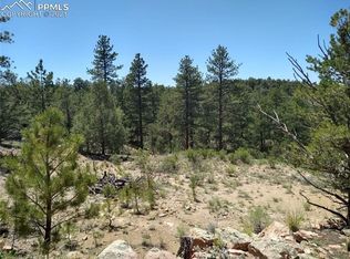 35 Silver Ln, Cotopaxi, CO 81223