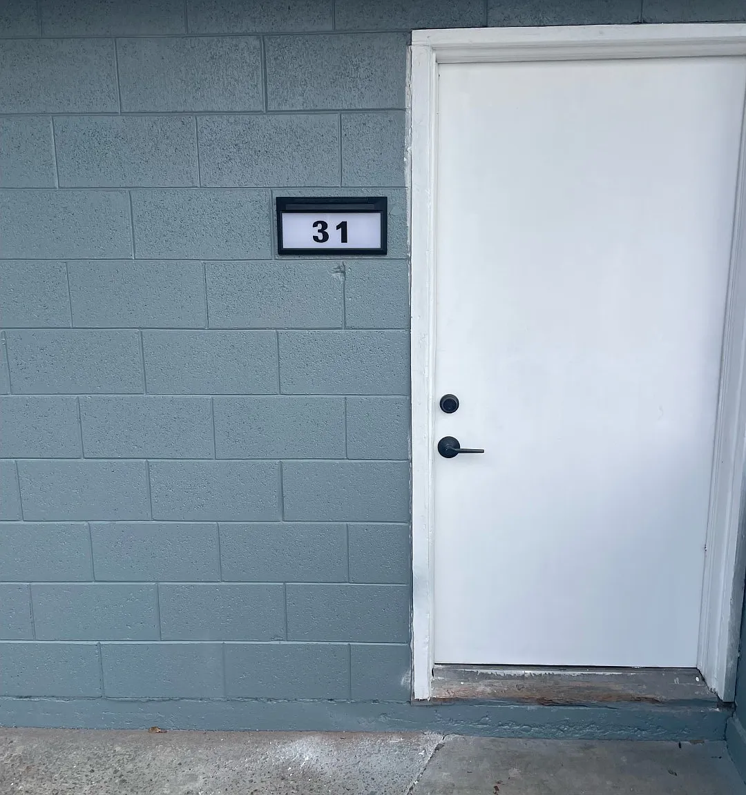1 bed, 800 sqft, $1,595 — Photo 2