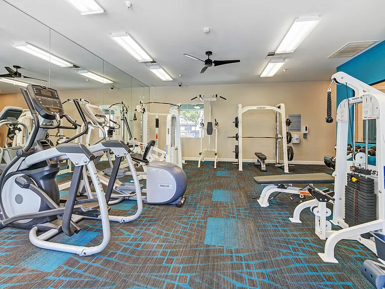 Gym 1