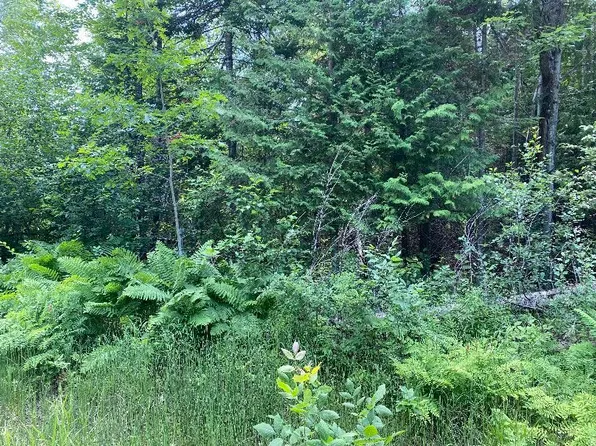 135 Howard Rd, Alpena, MI 49707