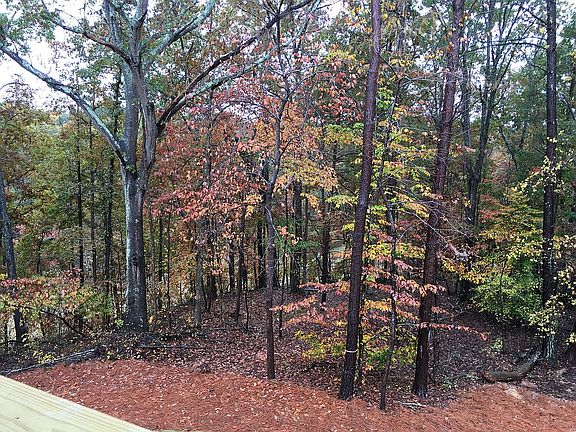 Fall foliage