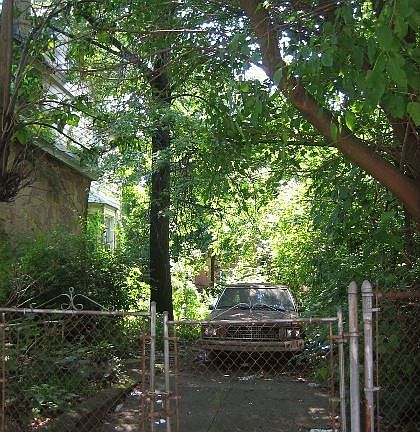 Side Yard