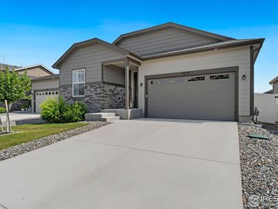 1825 Paley Dr, Windsor, CO, 80550