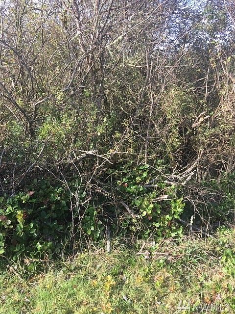 1st image of 805 Point Brown Ave SW