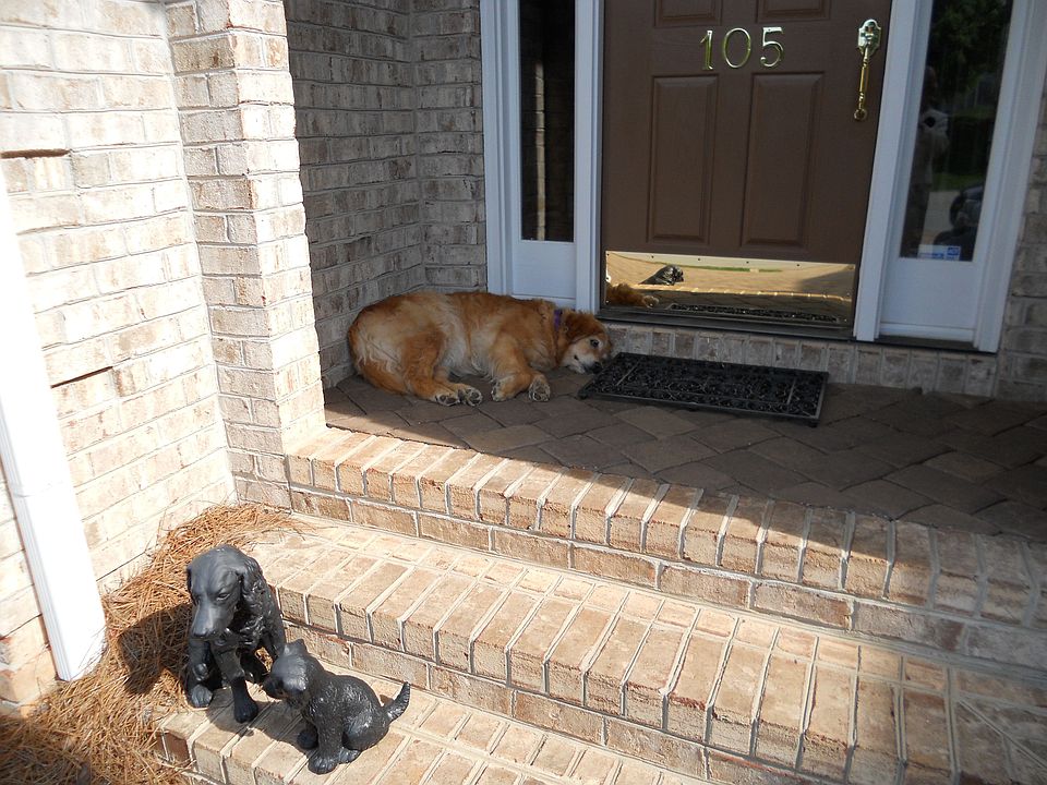 2nd image of 105 Checkerberry Ln