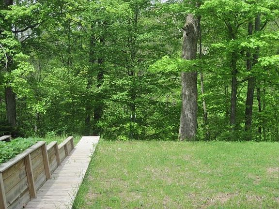 taken from deck facing woods