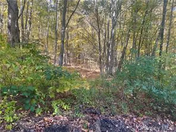 0 Budd Lane, Millerton, NY 12546
