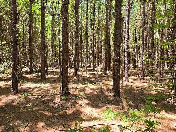 4th image of 22.656 Acres Tract #13