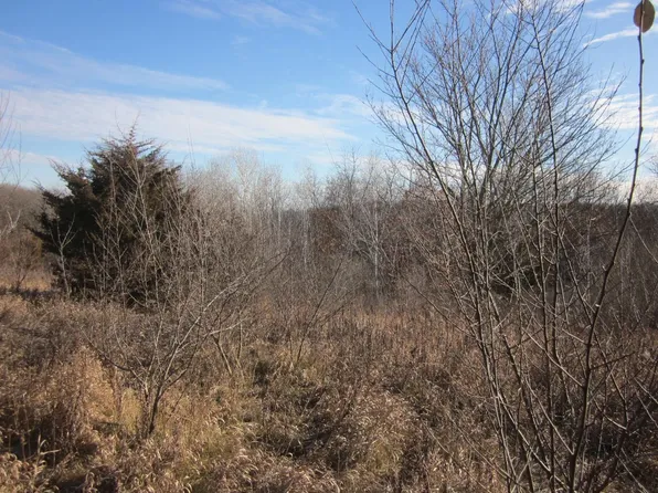 Scenic Trl, Muscoda, WI 53573