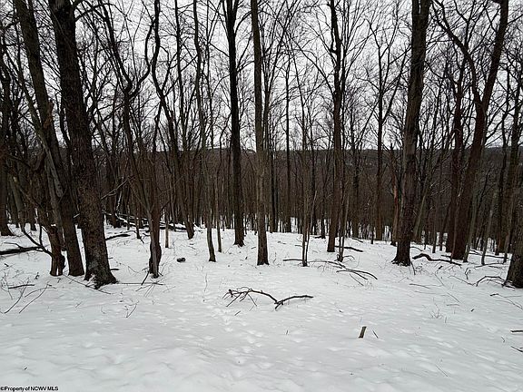 2nd image of 0 Eastwood Ln