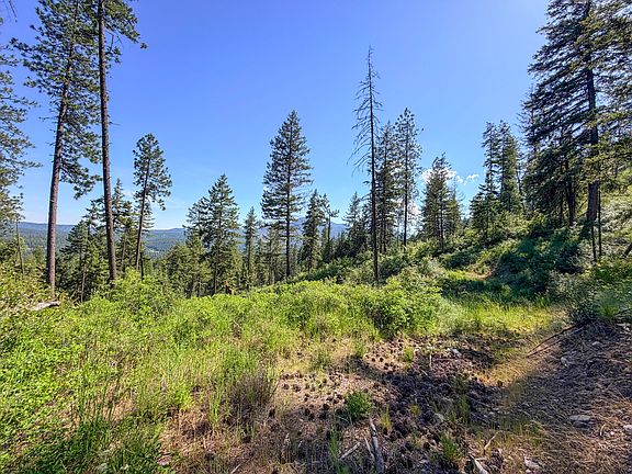 5th image of 2008 Summit Valley Rd
