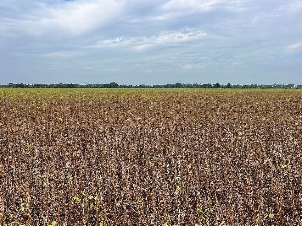 1st image of 9800 Us Highway 79