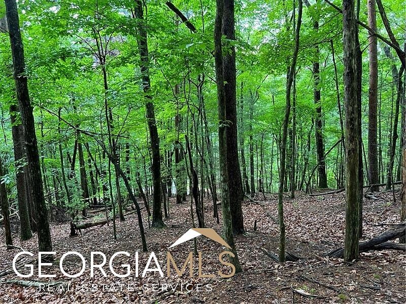 J214 Walnut Mountain Rd, Ellijay, GA 30536 MLS 10179214 Zillow