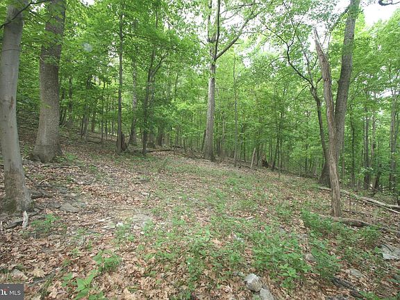 5th image of Hawks Hill Ln
