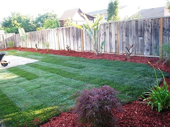 new backyard landscape