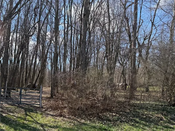 0 Saxonburg Rd, Butler, PA 16002