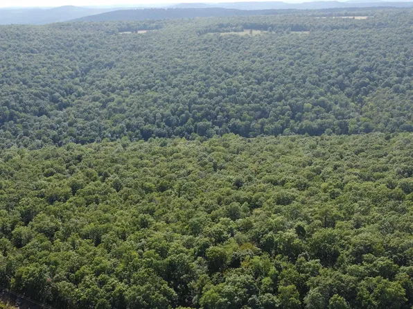 1202 Liberty Rd, Leslie, AR 72645