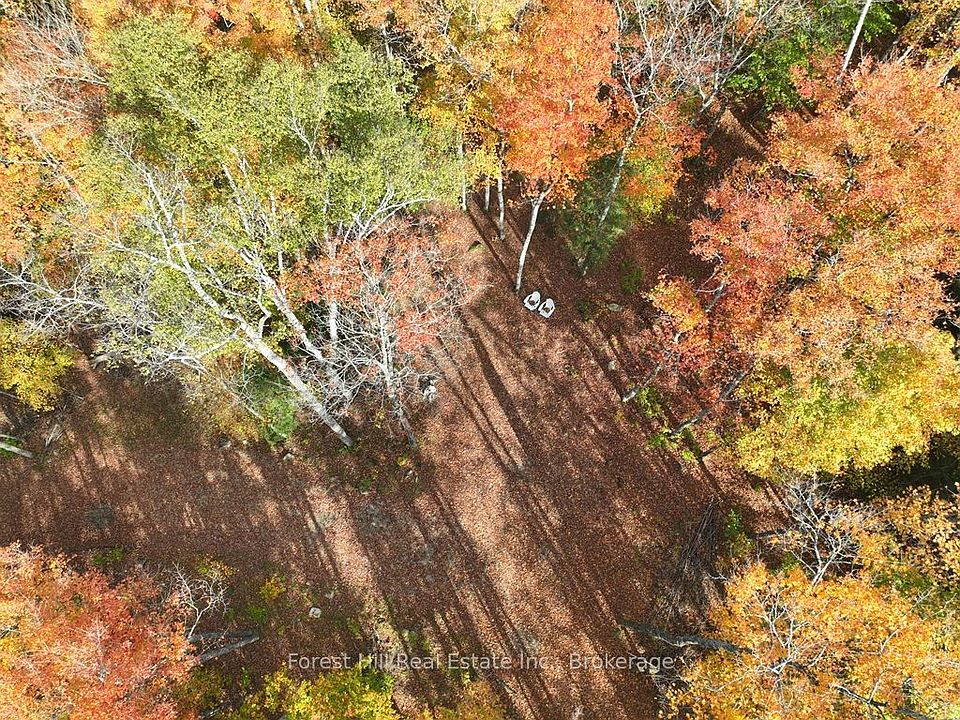 1st image of 4488 Kawagama Lake Rd