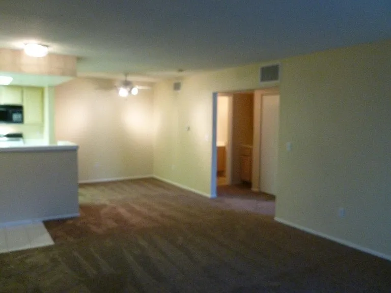 1908 Desert Falls Ct #207 — Photo 11