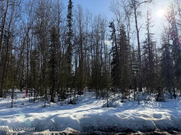 14584 N Sundown Dr, Willow, AK 99688