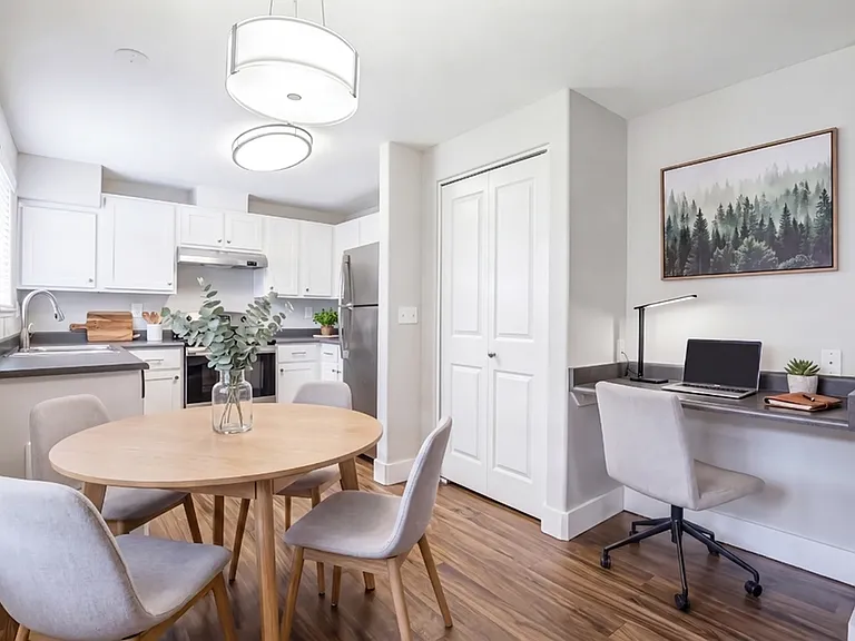 Renovated Kitchen