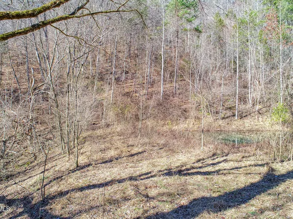 582 Jimmie Brooks Rd, Sneedville, TN 37869