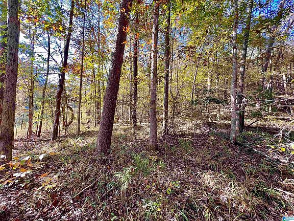 3rd image of 0 N River Cir #11