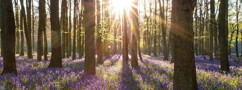 2nd image of 2818 Magic Mountain Rd