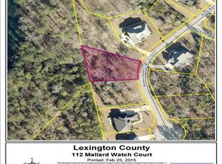 112 Mallard Watch Ct, Leesville, SC 29070