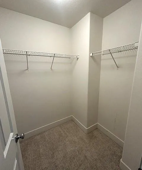 1043 Saltbush Ln — Photo 23