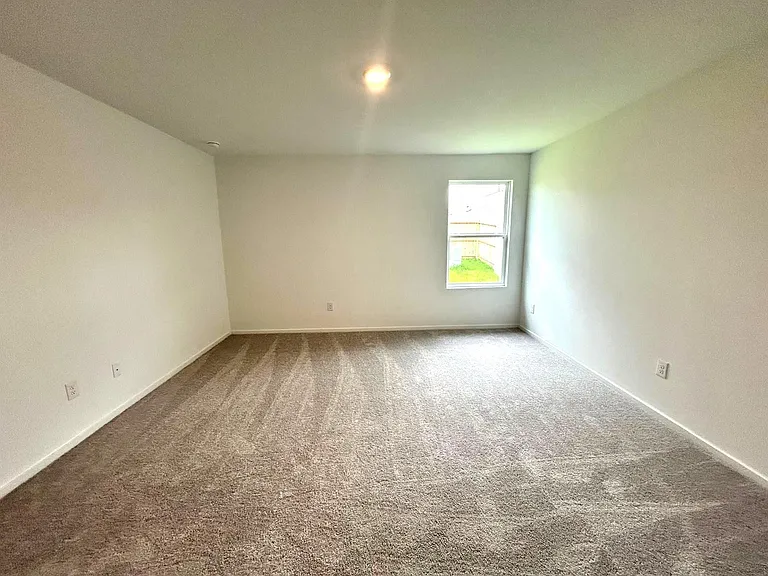 26807 Vanilla Pearls Ln — Photo 9