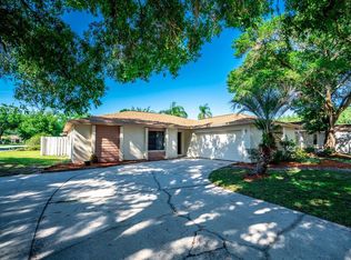 4223 Summerdale Dr, Tampa, FL 33624