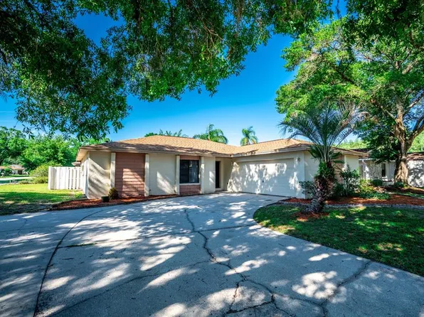 4223 Summerdale Dr, Tampa, FL 33624