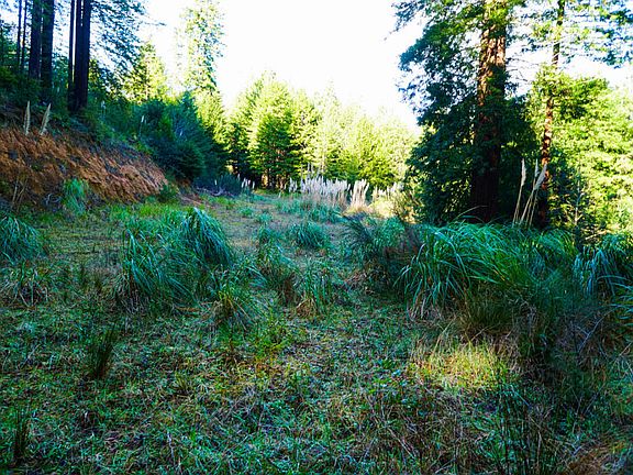 5th image of 5204 Woodland Way