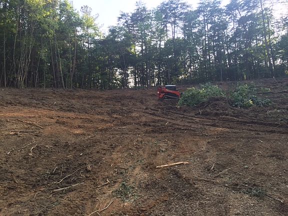 5th image of 2186 Summerlyn Park Dr