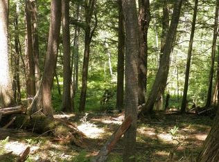ON Lakeshore Dr LOT 3, Woodruff, WI 54568