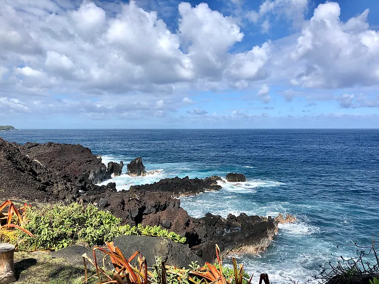 Just a short walk from the house