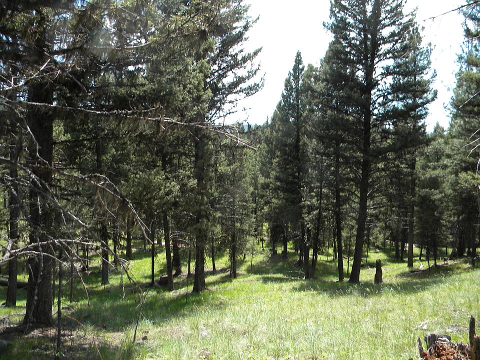 1st image of LOT 65 Spring Creek Dr