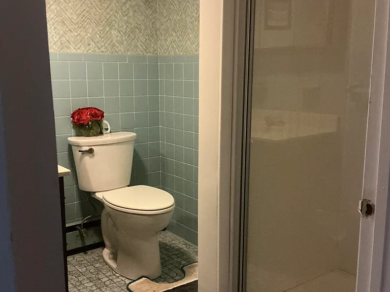 61 Shepard Ave #LL — Photo 8